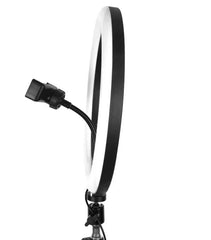 LED Ring Light 26cm - Mall Mega