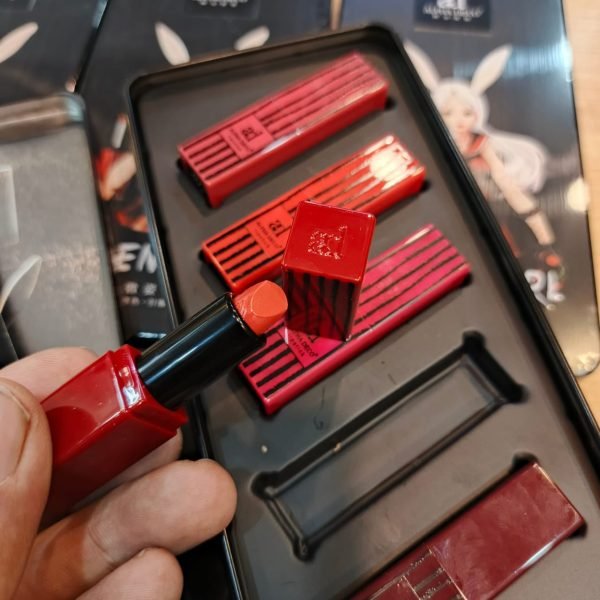 Luxury 5 - in - 1 Matte Lipstick Gift Set - Mall Mega