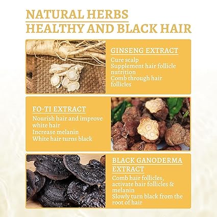 Ganoderma Nutrient Natural Darkening Hair Spray 30ml - Mall Mega