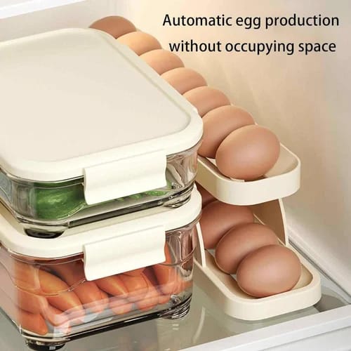Double Layer Egg Storage Tray