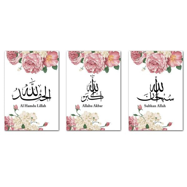 Pack of 03 – Islamic Canvas Wall Art Pink Peony Canvas Painting - Mall Mega