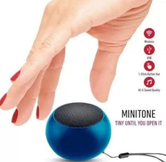 JBL Mini Portable Wireless Bluetooth Speaker - Mall Mega
