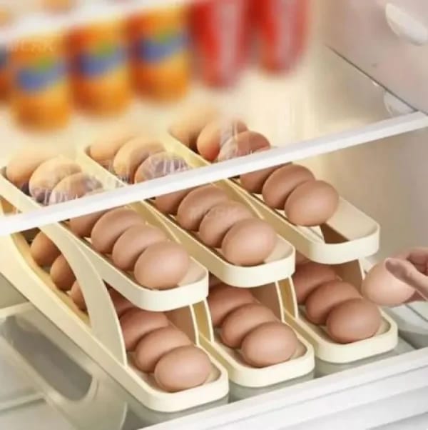 Double Layer Egg Storage Tray